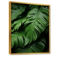 thumbnail image 2 of Designart "Exotic Palmscape Beneath The Emerald Canopy I" Palms & Palm Trees Floater Framed Wall Decor, 2 of 5