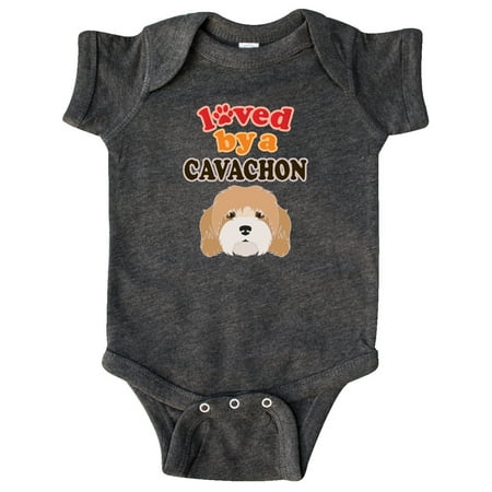 

Inktastic Cavachon Dog Gift Gift Baby Boy or Baby Girl Bodysuit