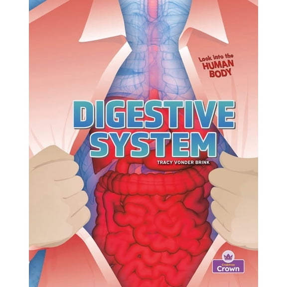 Digestive System, (Hardcover)