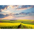 thumbnail image 2 of wall26 - Yellow Flowering Fields, Ground Road and Beautiful Valley, Nature Spring Landscape - Removable Wall Mural | Self-Adhesive Large Wallpaper - 100x144 inches, 2 of 6