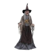 Seasonal Visions MR125058 Animated Witch Servo Activated