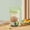 Green, variant on Overnight Oatmeal Breakfast Cup with Spoon Portable Cold Sealed Salad Cup for Yogurt Cereal and Snacks Plastic with Detachable Ice Pack for Meal Prep Home Office and on The Go Use 1 Count