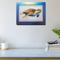 thumbnail image 3 of 5D Multi-Dimensional Wall Art - Custom Made Turtle Wall Art Print on Strong Polycarbonate Panel with Vibrant Colors - Immersive, Interactive, Lenticular Artwork for Living Room by Matashi (16x20 Inch), 3 of 5