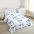 thumbnail image 3 of Feelyou Girly Blue Bowknot Bedding Comforter Set, Kawaii Princess Bow-tie Twin Comforter Sets, Cartoon Ribbon Style Reversible Bedding Set, Microfiber Bedroom Decor, 2 Pieces, 3 of 8