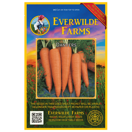 Everwilde Farms - 2000 Danvers Carrot Seeds - Gold Vault Jumbo Bulk Seed (Best Way To Plant Carrots)