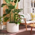 thumbnail image 2 of SAFAVIEH Nardo 23" x 23" x 18" Cylinder Beige Ficonstone Solid Plant Pot, 2 of 7