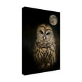 thumbnail image 3 of Trademark Fine Art Jai Johnson Barred Owl And The Moon Canvas Wall Art - 22x32, 3 of 5