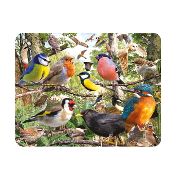 3D LiveLife Magnet - Nature's Home from Deluxebase. Lenticular Wild Animal Refrigerator Magnet. Decorative 3D Bird Flat Magnets. Cute Small Magnets for Fridge, Dishwasher and Whiteboard.