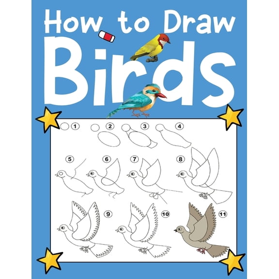 How To Draw Birds, (Paperback)