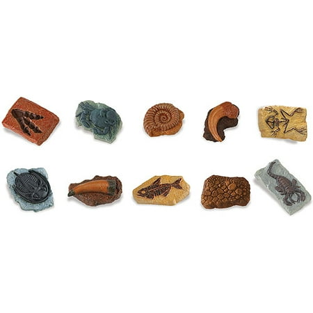 Safari Ltd Ancient Fossils TOOB with 10 Toy Figurines Including Dino Footprint, Giant Crab, Ammonite, Raptor Claw, Fossilized Frog, Trilobite, T-Rex Tooth, Fossilized Fish, Dino Skin, and Sea Scorpion