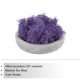 thumbnail image 3 of Uxcell 3.5 OZ Moss Preserved Moss Artificial Moss for Craft Floral Project Table Decor Purple, 3 of 6
