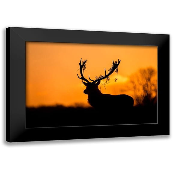 Harling, Stuart 14x11 Black Modern Framed Museum Art Print Titled - Red Deer Stag Silhouette