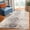 Ivory/Blue, variant on SAFAVIEH Monaco Annabelle Vintage Area Rug, Ivory/Blue, 5'1" x 7'7"