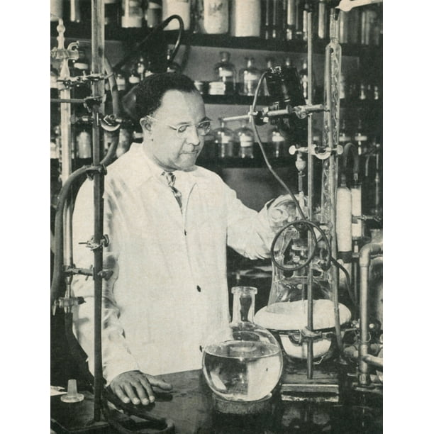Percy lavon julian essay example Percy lavon julian essay example picture