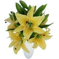 thumbnail image 6 of 7 Pcs Artificial Lily Flowers Artificial Lilies Flowers for Home Wedding Bouquets Home Hotel Party Decor Graves Arrangement (Red), 6 of 10