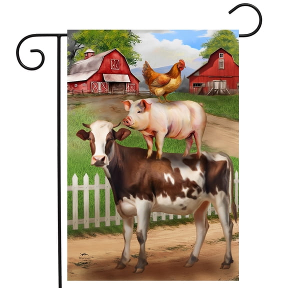 Briarwood Lane Summer Garden Flag 12x18 For Outdoor Farm Friends For Summer Garden Flag Flags For Outside