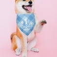 thumbnail image 4 of Dog Birthday Bandana Dog First Birthday Bandana Plaid Blue Dog Bandana Pet Dog Lover Gifts Happy Birthday Dog Triangle Scarf for Pet Dog Puppy 1st Birthday Party Decoration, 4 of 6