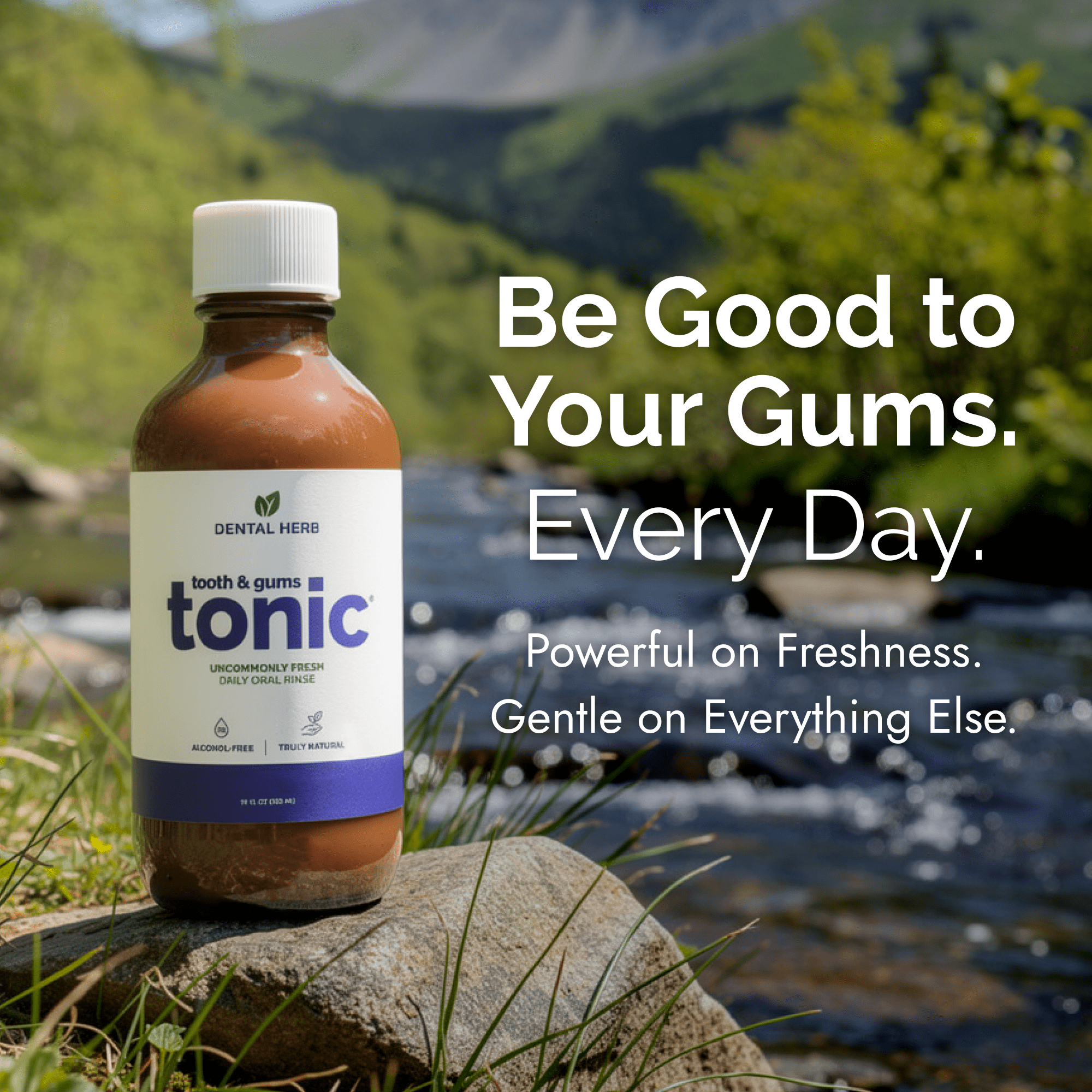 Tooth & Gums Tonic – Truly Natural Oral Rinse, Plant-Based, Alcohol-Free, Fluoride-Free, Herbal Extracts & Essential Oils, Fresh Breath & Daily Gum Care, 18 fl oz – Dental Herb Company