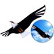 thumbnail image 3 of Cometa gigante de águila calva 3D para niños y adultos Cometas de halcón individuales fáciles de volar para Los 200x98cm, 3 of 8