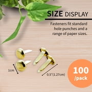 BAZIC Brass Plated Fasteners 1/2 Inch, Round Head Paper Fastener Brads (100/Pack), 1-Pack
