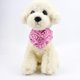 thumbnail image 1 of ¡Precios Insuperables!, Pañuelos para perros, bufanda triangular para mascotas, babero, ajuste con dos broches, juego de pañuelos, accesorios para perros, cachorros y gatos Akmoler, 1 of 9