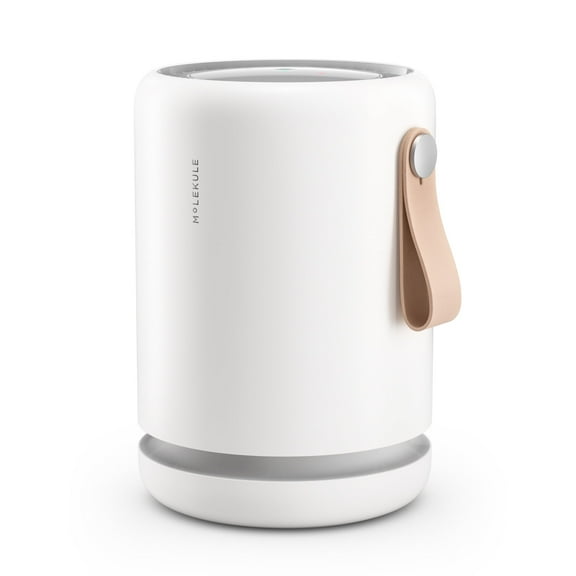 Molekule Air Purifier Mini - Purifies Rooms up to 250 Sq Ft