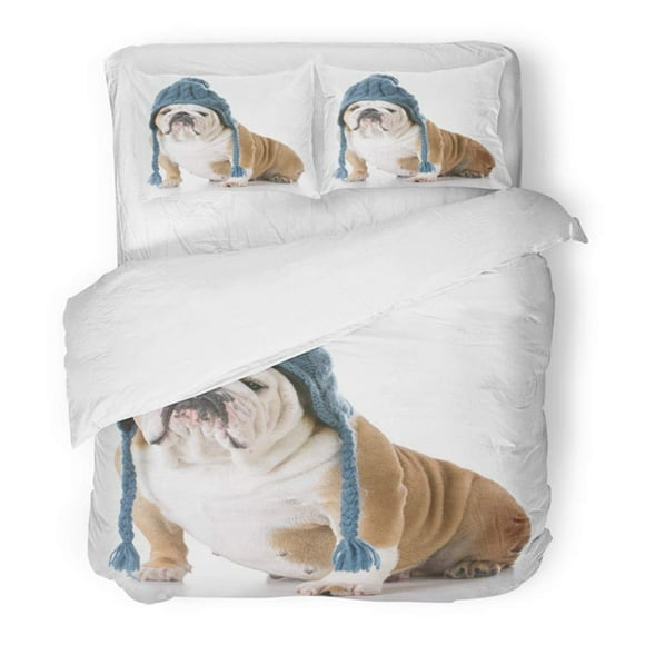 RYLABLUE 3 Piece Bedding Set Dog English Bulldog Wearing Winter Wool Hat White Puppy Sitting Adorable Canine Cute Twin Size Duvet Cover with 2 Pillowcase for Home Bedding Room Decoration