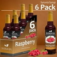 thumbnail image 2 of Syruvia Raspberry Syrup for Drinks 1 Case (6 Bottles, 25.4 fl oz Each) Raspberry Flavored Syrup, 2 of 7