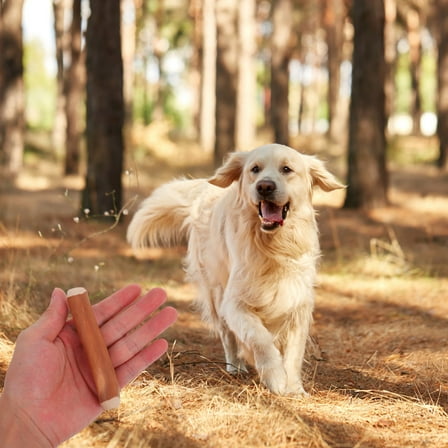 GOOHOCHY Wooden Dog Chew Stick Coffee Scented Chew Toy for Pets Durable Engaging Teething Toy 9.5 Inches