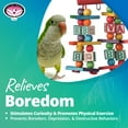thumbnail image 6 of Super Bird Creations SB448 Katy's ABC Jr. Interactive Bird Toy - Durable Chew Toy, Non-Toxic Textured ABC Blocks, Safe 'Polly' Rope, Ideal for Parrots & Ringnecks - Medium Bird Size - 7" x 5" x 1.5", 6 of 7