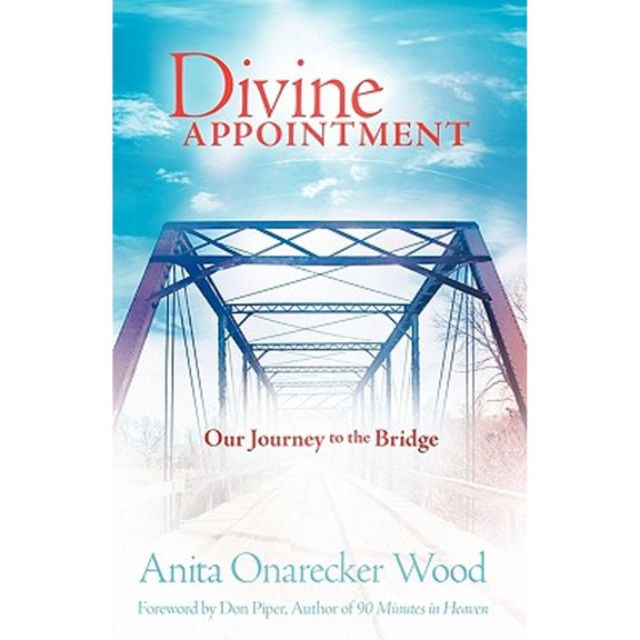 Divine Appointment (Paperback)