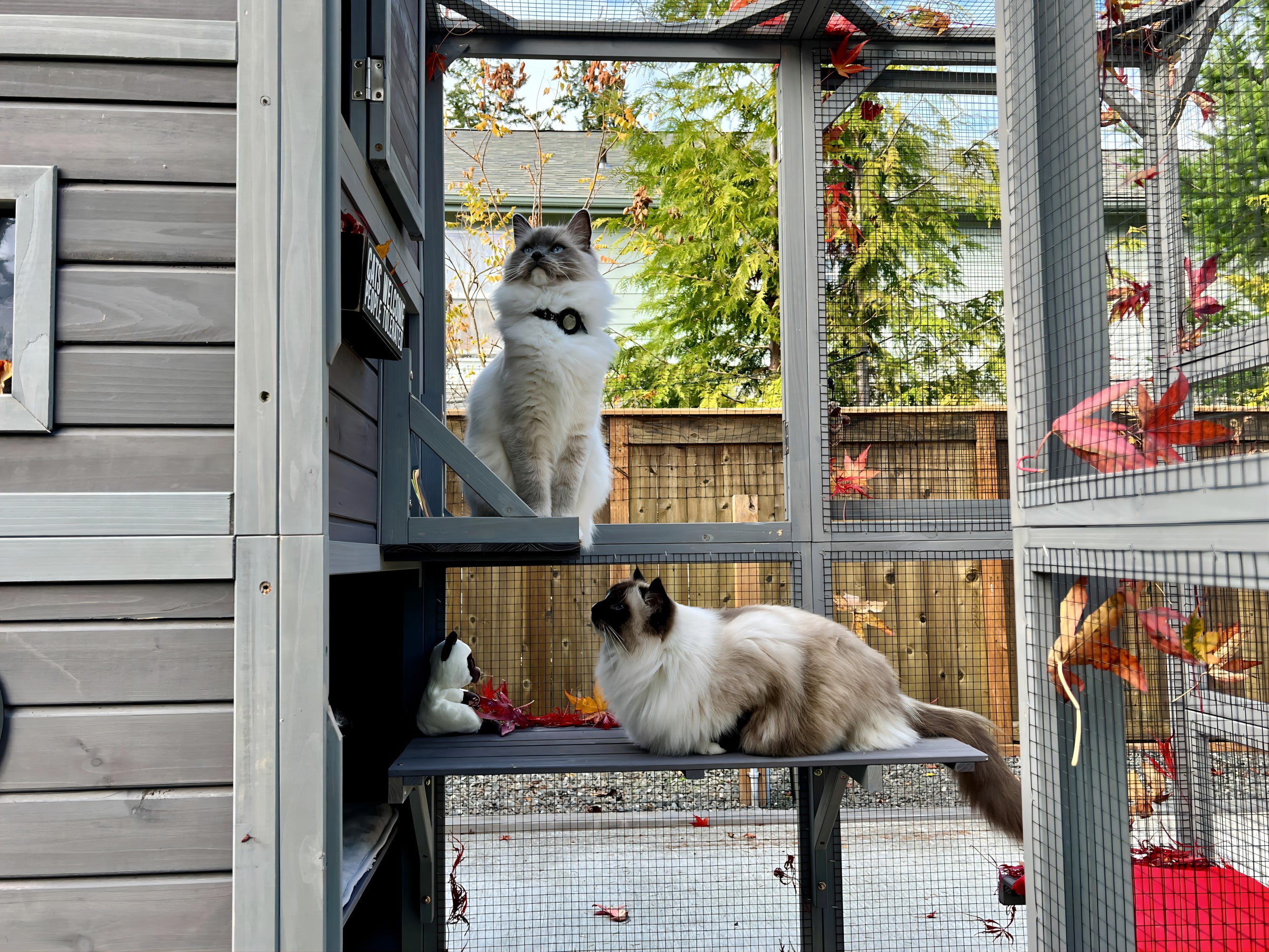 Outdoor window cat house hotsell
