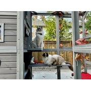 Aivituvin Large Cat Catio 4 Tiers Cat Enclosures House for Outdoor Indoor Cats with Weatherproof Roof, 3 Resting Rooms, 3 Platforms, 5 Windows 70 H 77 L