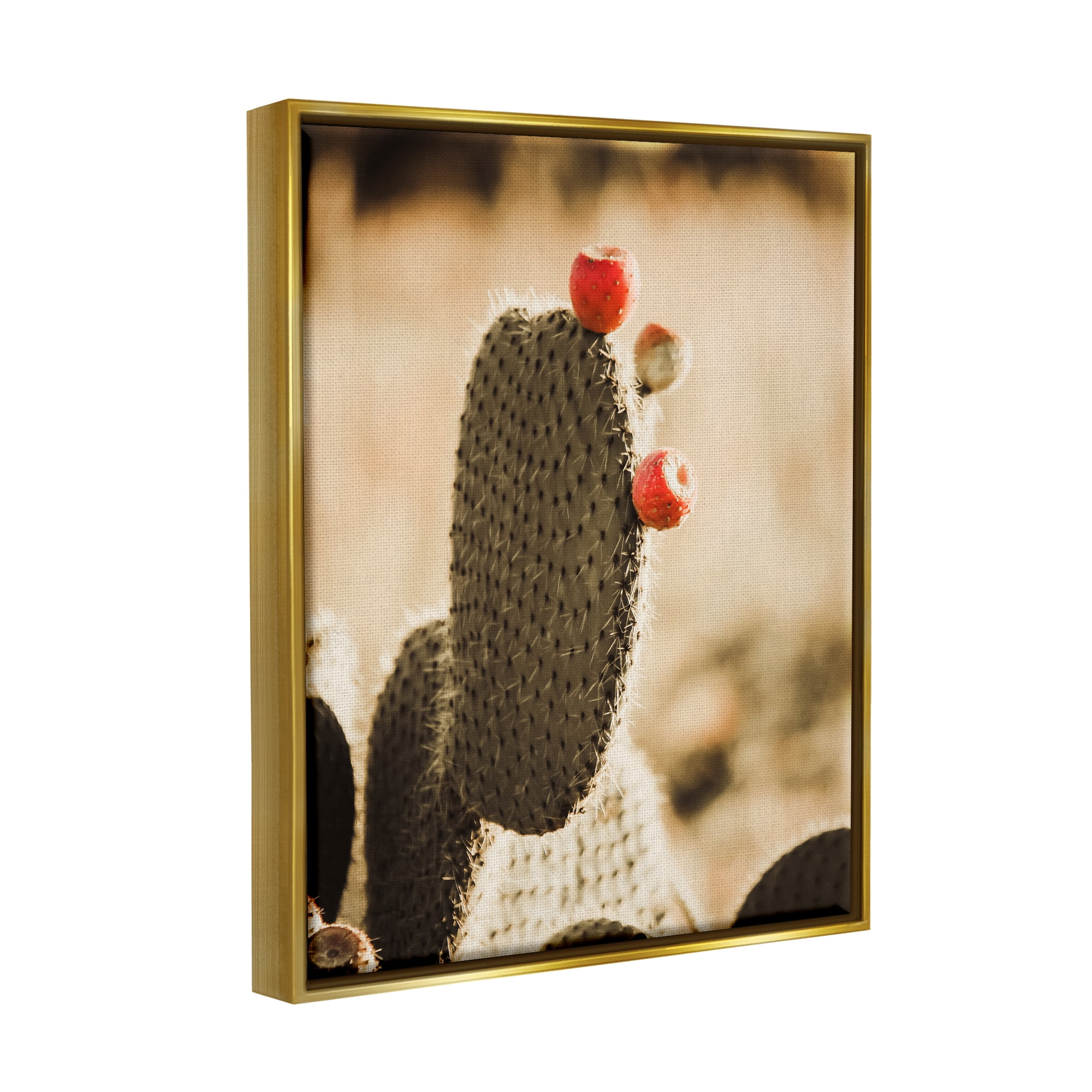 Stupell Prickly Pear Cactus Fruits Botanical & Floral Photography Gold Floater Framed Art Print Wall Art