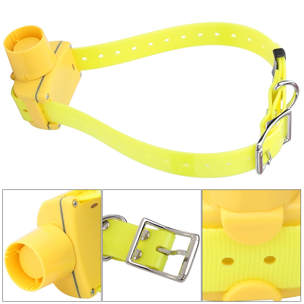 Dog beeper collar sale