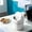 White, variant on Gallickan Mini Desk Trash Can with Lid, 2L Small Plastic Tabletop Waste Basket, Spring-Lid Compact Garbage Bin for Office Bedroom, Navy