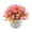 pink, variant on NOVELAR Faux Grass Decorative Hemisphere with Pot, 4.7 Inch Wide, Lifelike Low-Maintenance Plant, Perfect for Indoor Tabletop or Shelf Display