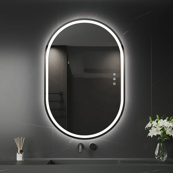 Funtouch 20" x 30" Oval LED Bathroom Mirror with Lights, Anti Fog LED Bathroom Mirror，Dimmable, Front and Backlit, 3 Colors, Memory, Shatterproof