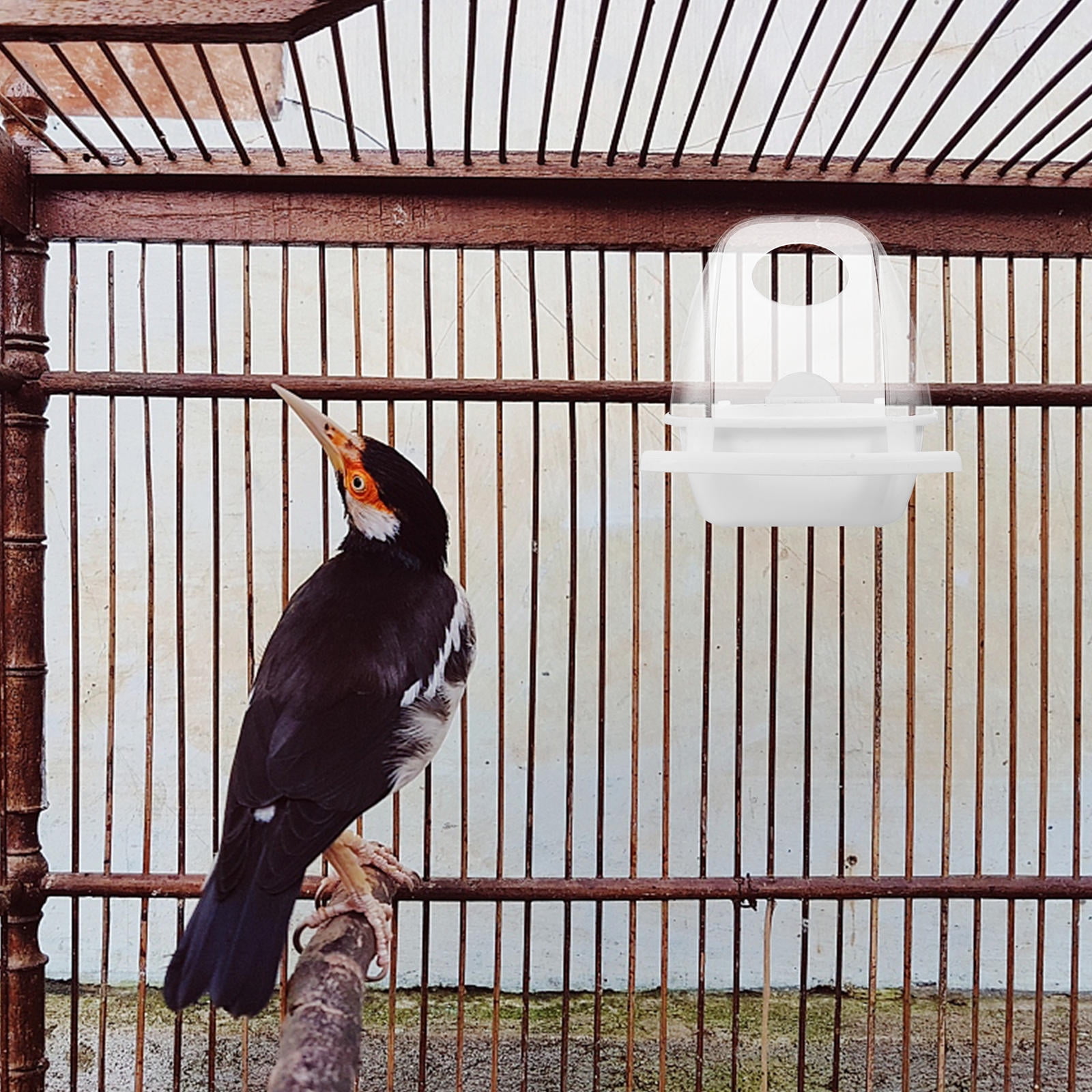 YOSADIER Splash Proof Plastic Bird Feeding Box for Cage with Transparent Design