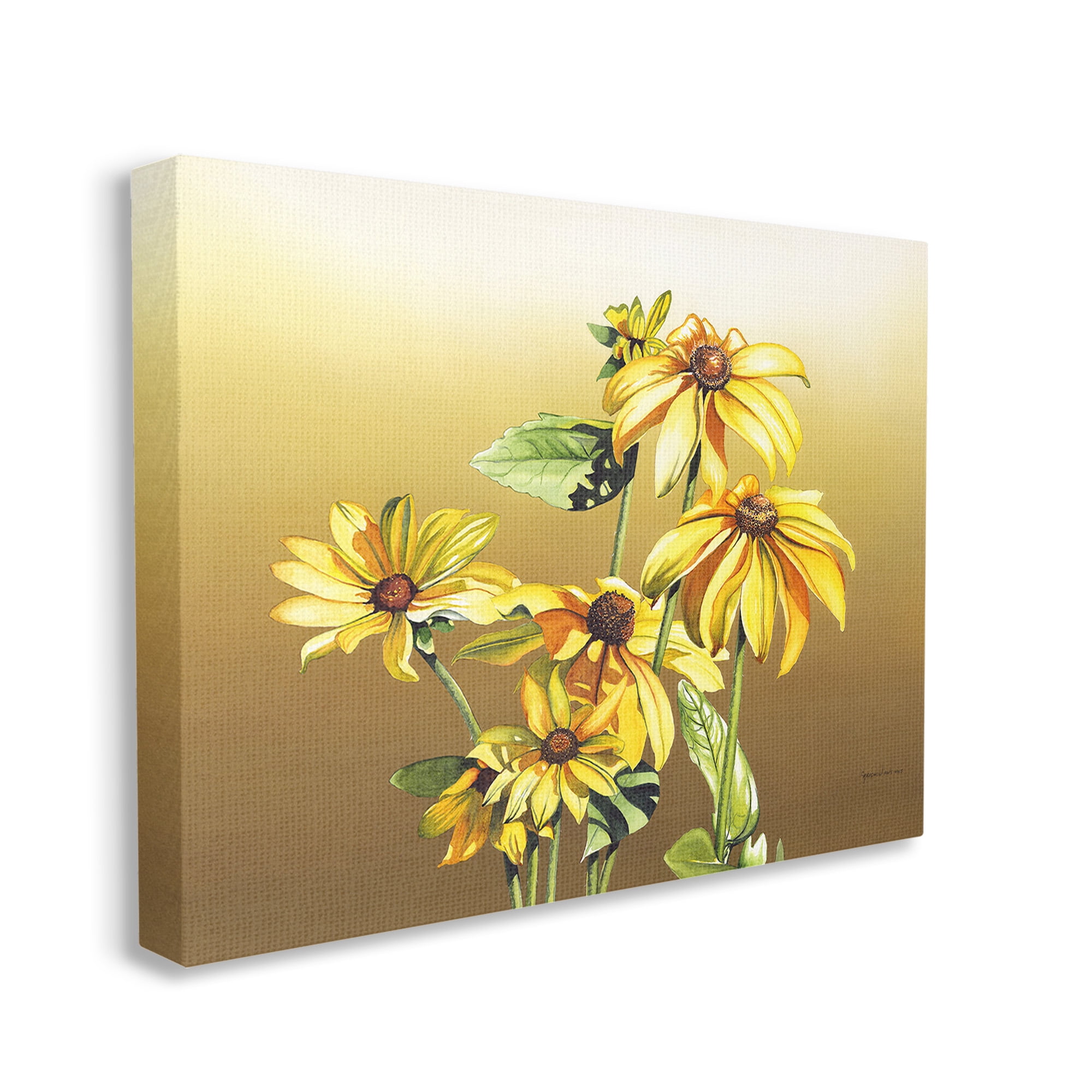 Stupell Industries Drooping Daisy Petals Botanical & Floral Painting Gallery Wrapped Canvas Art Print Wall Art, 40 x 30