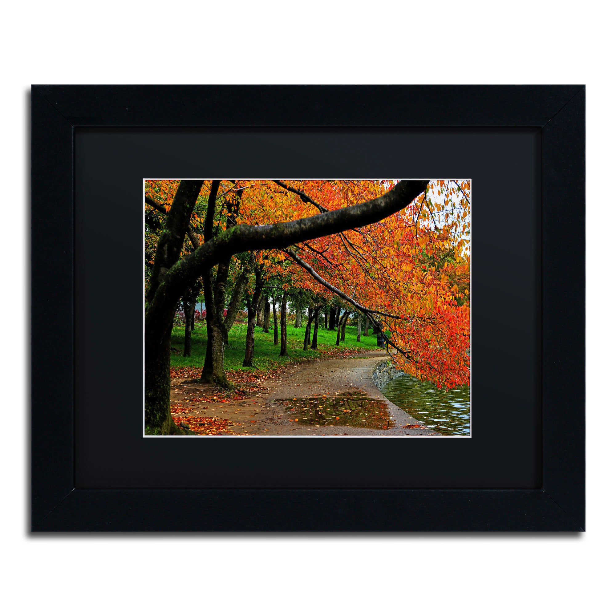 Trademark Fine Art "Tidal Basin Autumn 2" Canvas Art by CATeyes, Black Matte, Black Frame