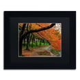 thumbnail image 2 of Trademark Fine Art "Tidal Basin Autumn 2" Canvas Art by CATeyes, Black Matte, Black Frame, 2 of 5