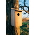thumbnail image 2 of Woodlink Screech Owl & Kestrel Nesting Box, Cedar Birdhouse for Outdoor Bird Shelter, 2 of 7