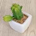 thumbnail image 4 of Maceta suculenta artificial moderna en forma de cubo, verde, minimaceta para decoración de interior y exterior (cactus con espinas), 4 of 5