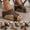 Coffee, variant on TrendOFT Womens Footbed Sandals Wedge For Platform Wedge Open Toe Wedge Casual Dressy Summer Shoes Sandales Plateforme Pour Femmes Black 37