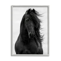 Stupell Industries Black Stallion Horse Portrait Soft Grey Sky Photography, 11 x 14, Design by Carol Walker