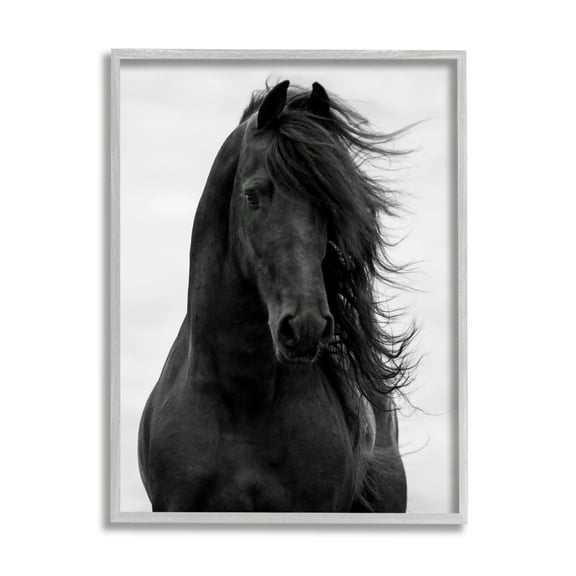 Stupell Industries Black Stallion Horse Portrait Soft Grey Sky Photography, 11 x 14, Design by Carol Walker