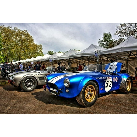 Ac Cobra- CANVAS OR FINE PRINT WALL ART