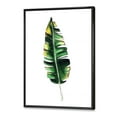 thumbnail image 3 of Designart 'Single Banana Leaf On White' Bohemian & Eclectic Framed Canvas Wall Art Print, 3 of 5
