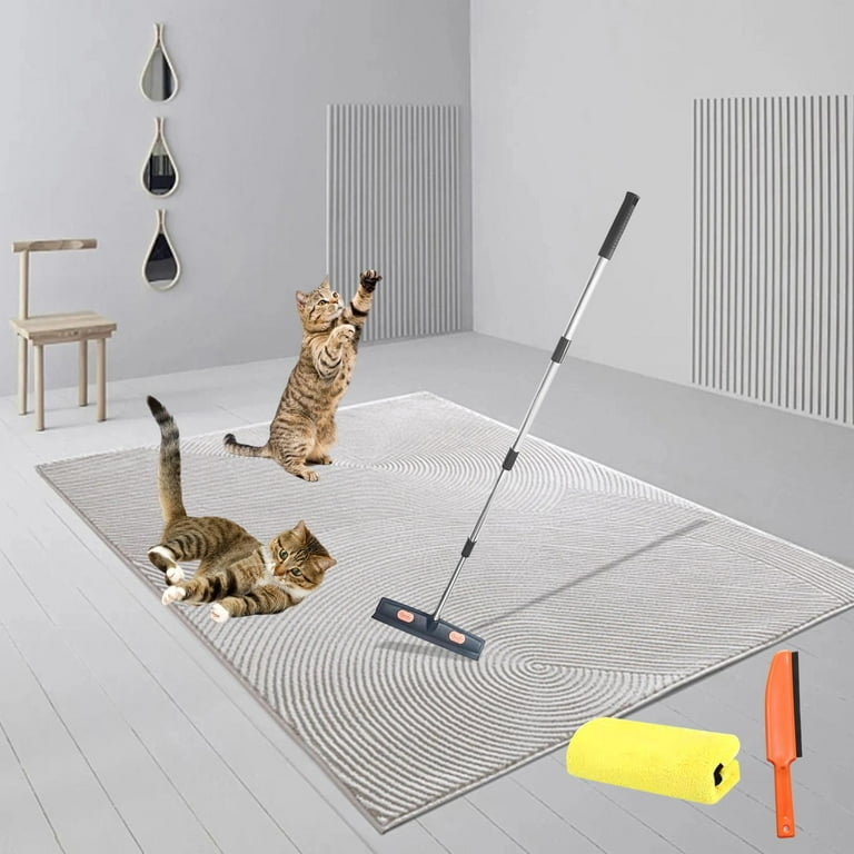 Pet Hair Remover Broom, Pet Hair Removal, Dog Cat Hair Carpet Rake